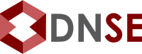 DNSE Logo